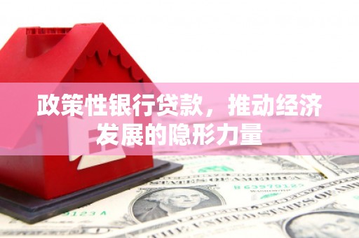 巴塘政策性银行贷款，推动经济发展的隐形力量