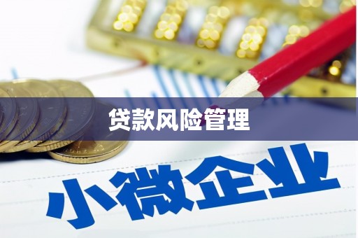 巴塘贷款风险管理
