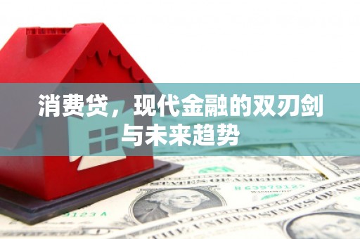 巴塘消费贷，现代金融的双刃剑与未来趋势