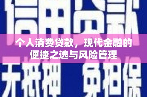 巴塘个人消费贷款，现代金融的便捷之选与风险管理