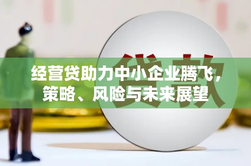巴塘经营贷助力中小企业腾飞，策略、风险与未来展望