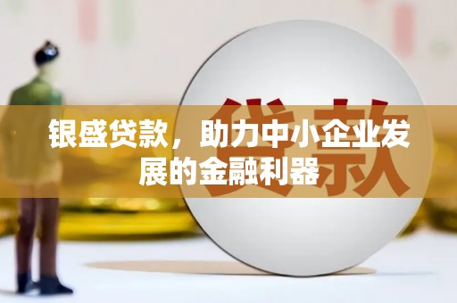 巴塘银盛贷款，助力中小企业发展的金融利器
