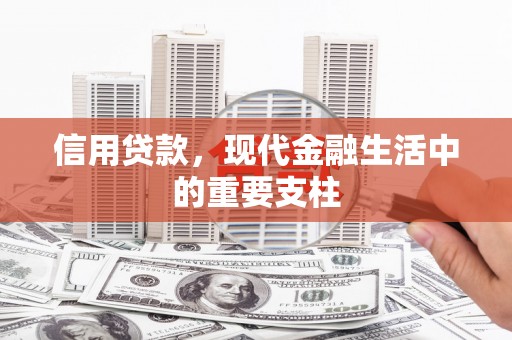 巴塘信用贷款，现代金融生活中的重要支柱