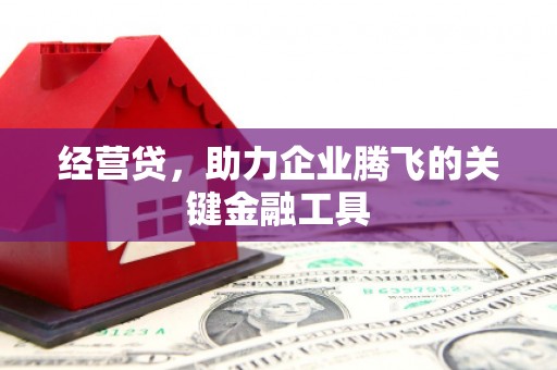 巴塘经营贷，助力企业腾飞的关键金融工具
