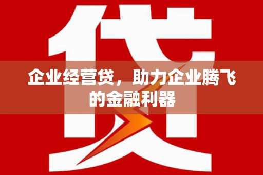 巴塘企业经营贷，助力企业腾飞的金融利器