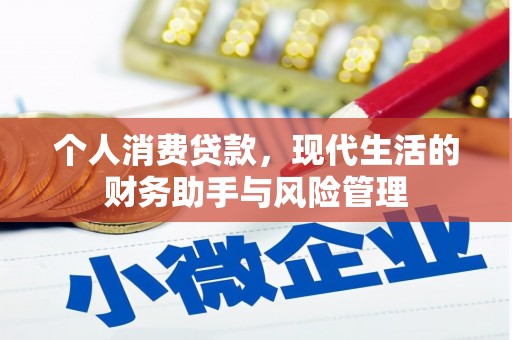 巴塘个人消费贷款，现代生活的财务助手与风险管理