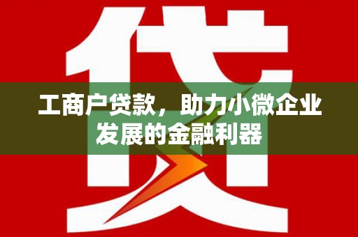 巴塘工商户贷款，助力小微企业发展的金融利器