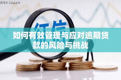 巴塘如何有效管理与应对逾期贷款的风险与挑战
