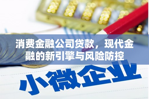 巴塘消费金融公司贷款，现代金融的新引擎与风险防控