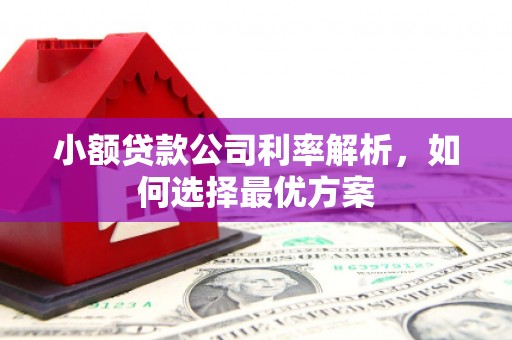 巴塘小额贷款公司利率解析，如何选择最优方案