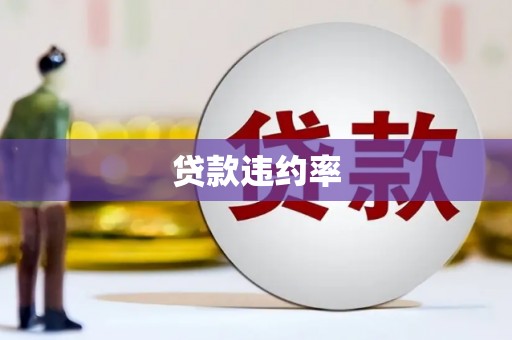 巴塘贷款违约率