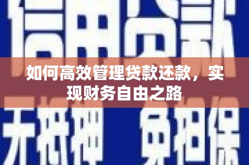 巴塘如何高效管理贷款还款，实现财务自由之路