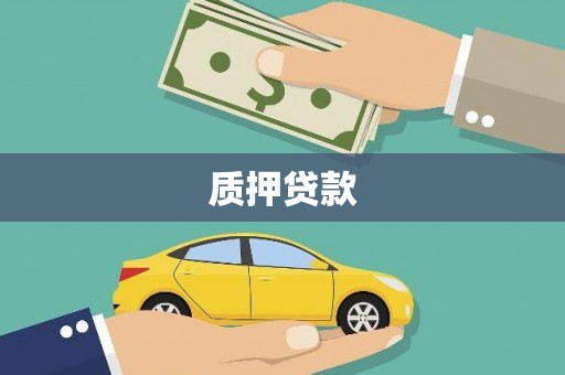 巴塘质押贷款