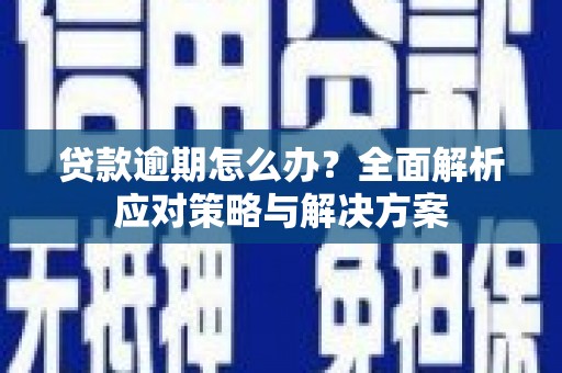 巴塘贷款逾期怎么办？全面解析应对策略与解决方案
