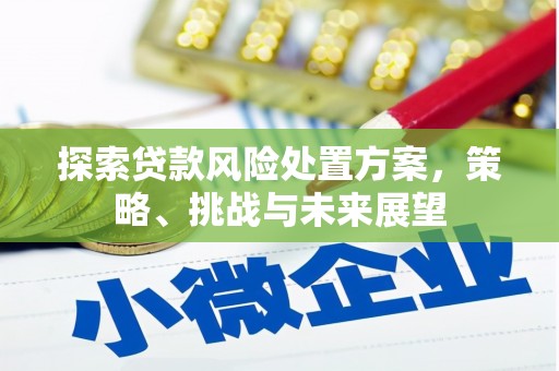 巴塘探索贷款风险处置方案，策略、挑战与未来展望