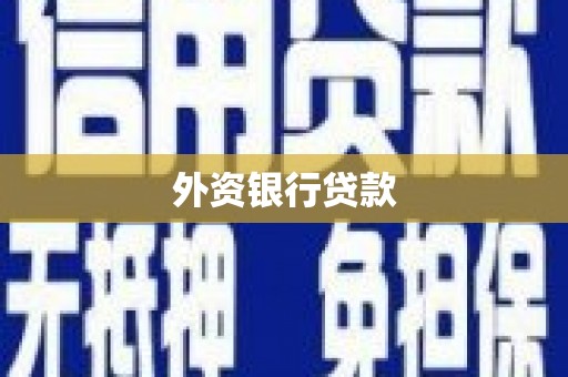 巴塘外资银行贷款
