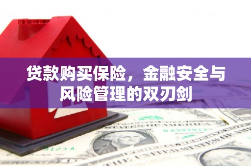 巴塘贷款购买保险，金融安全与风险管理的双刃剑