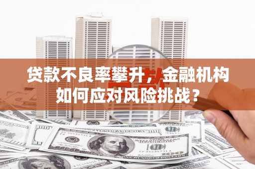 巴塘贷款不良率攀升，金融机构如何应对风险挑战？