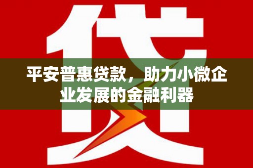 巴塘平安普惠贷款，助力小微企业发展的金融利器