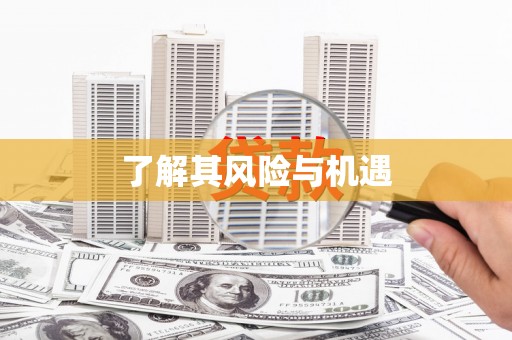 巴塘了解其风险与机遇