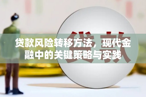 巴塘贷款风险转移方法，现代金融中的关键策略与实践