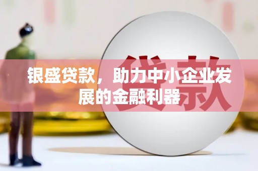 巴塘银盛贷款，助力中小企业发展的金融利器