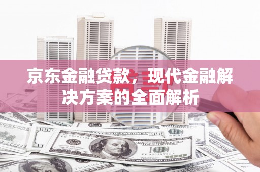 巴塘京东金融贷款，现代金融解决方案的全面解析