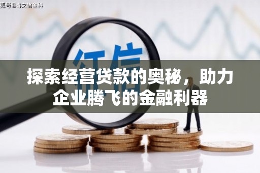 巴塘探索经营贷款的奥秘，助力企业腾飞的金融利器