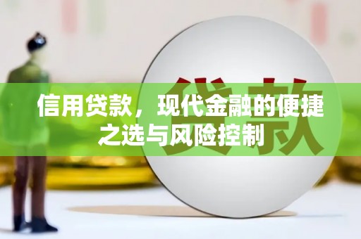 巴塘信用贷款，现代金融的便捷之选与风险控制