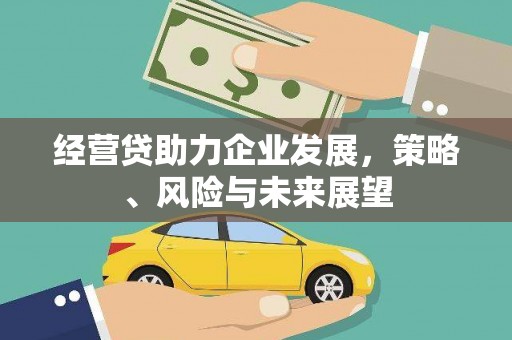 巴塘经营贷助力企业发展，策略、风险与未来展望
