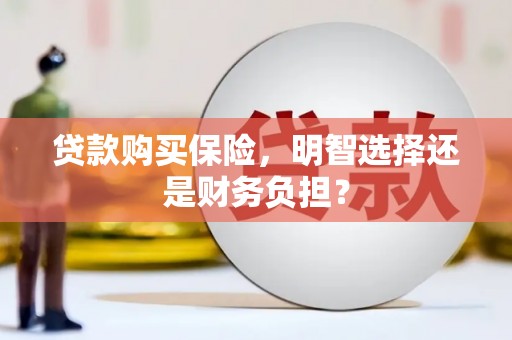 巴塘贷款购买保险，明智选择还是财务负担？