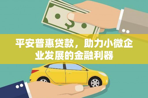 巴塘平安普惠贷款，助力小微企业发展的金融利器
