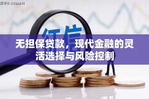 巴塘无担保贷款，现代金融的灵活选择与风险控制