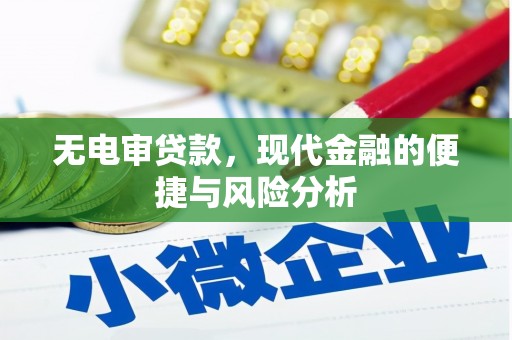 巴塘无电审贷款，现代金融的便捷与风险分析