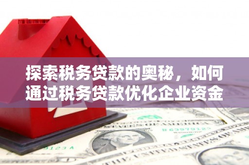 巴塘探索税务贷款的奥秘，如何通过税务贷款优化企业资金流