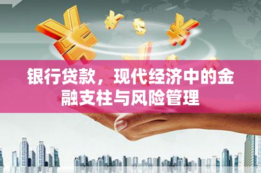 巴塘银行贷款，现代经济中的金融支柱与风险管理