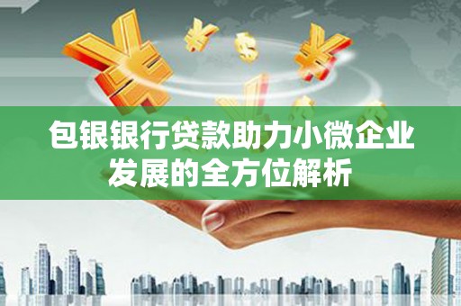 巴塘包银银行贷款助力小微企业发展的全方位解析