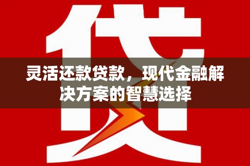 巴塘灵活还款贷款，现代金融解决方案的智慧选择