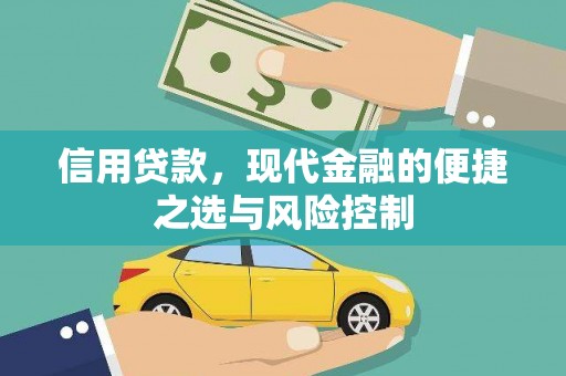 巴塘信用贷款，现代金融的便捷之选与风险控制