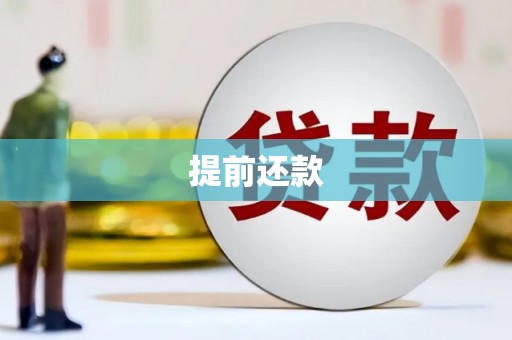 巴塘提前还款