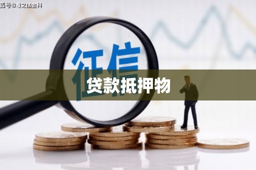 巴塘贷款抵押物