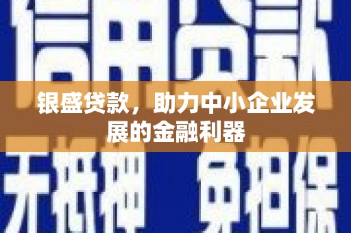 巴塘银盛贷款，助力中小企业发展的金融利器