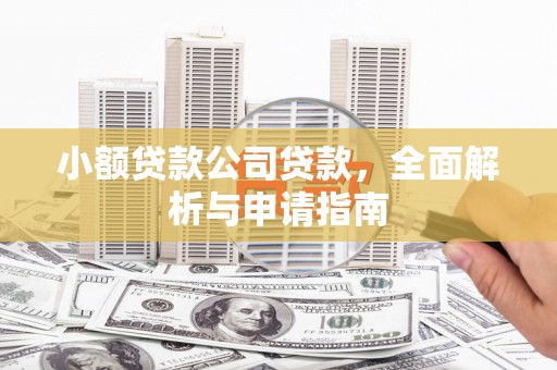 巴塘小额贷款公司贷款，全面解析与申请指南