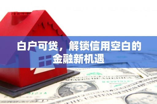 巴塘白户可贷，解锁信用空白的金融新机遇