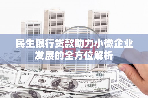 巴塘民生银行贷款助力小微企业发展的全方位解析