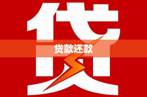 巴塘贷款还款