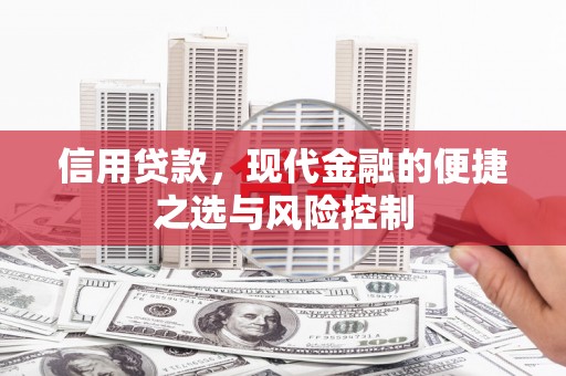 巴塘信用贷款，现代金融的便捷之选与风险控制