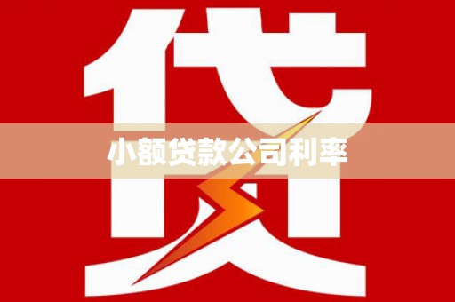 巴塘小额贷款公司利率