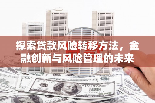 巴塘探索贷款风险转移方法，金融创新与风险管理的未来