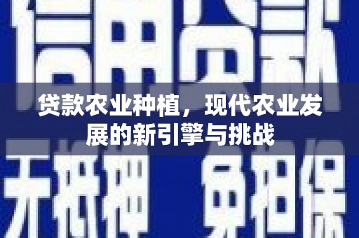 巴塘贷款农业种植，现代农业发展的新引擎与挑战